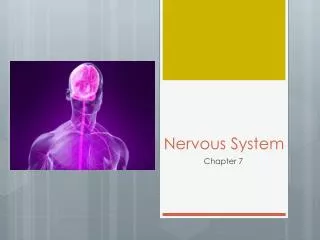 Nervous System