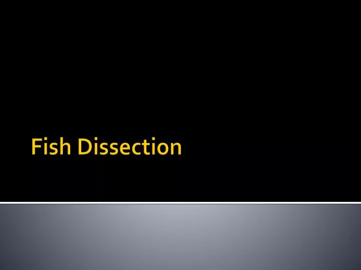 fish dissection