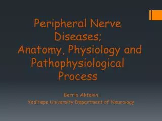 Peripheral Nerve Diseases; Anatomy, Physiology and Pathophysiological Process