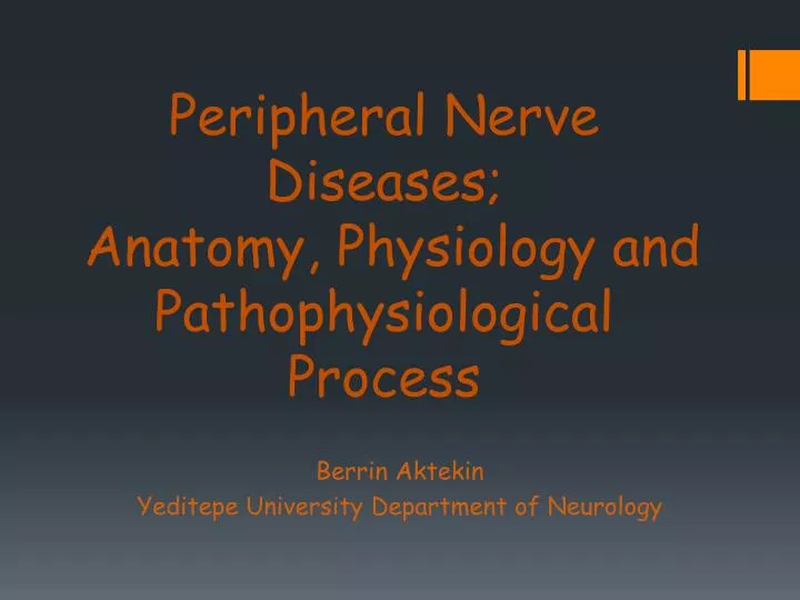 peripheral nerve diseases anatomy physiology and pathophysiological process