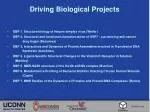 Driving Biological Projects - slide 1