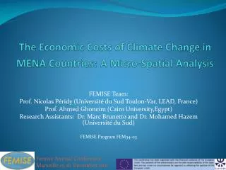The Economic Costs of Climate Change in MENA Countries: A Micro-Spatial Analysis