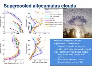 Supercooled altocumulus clouds