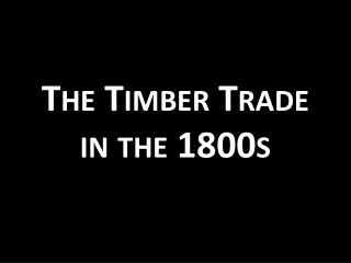 The Timber Trade in the 1800s