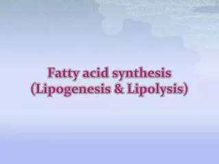 Fatty acid synthesis ( Lipogenesis &amp; Lipolysis )