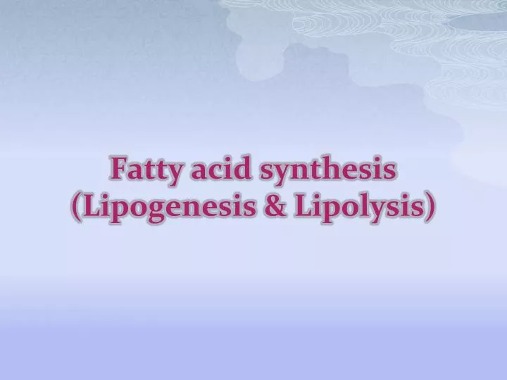 fatty acid synthesis lipogenesis lipolysis