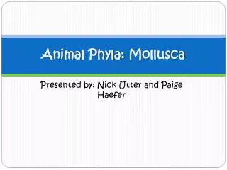 Animal Phyla: Mollusca