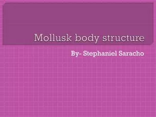 Mollusk body structure