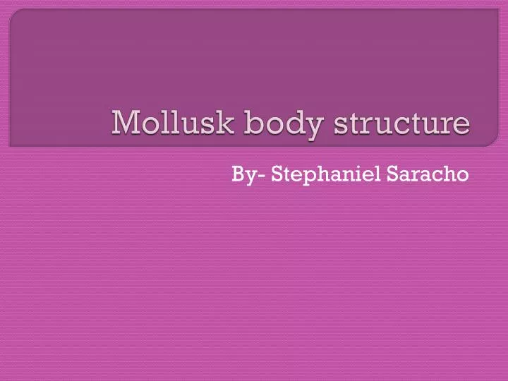 mollusk body structure