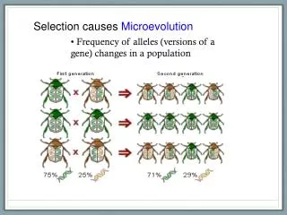 Selection causes Microevolution