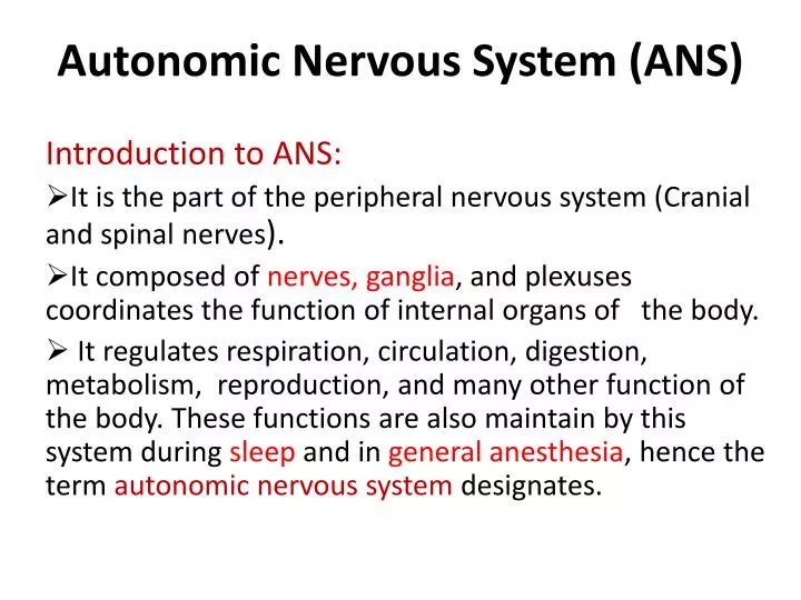 autonomic nervous system ans