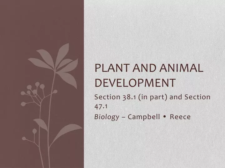 plant and animal development
