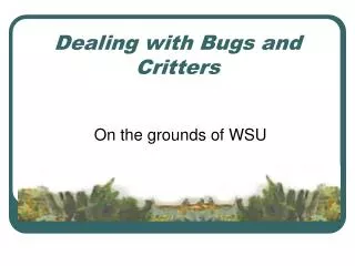 Dealing with Bugs and Critters