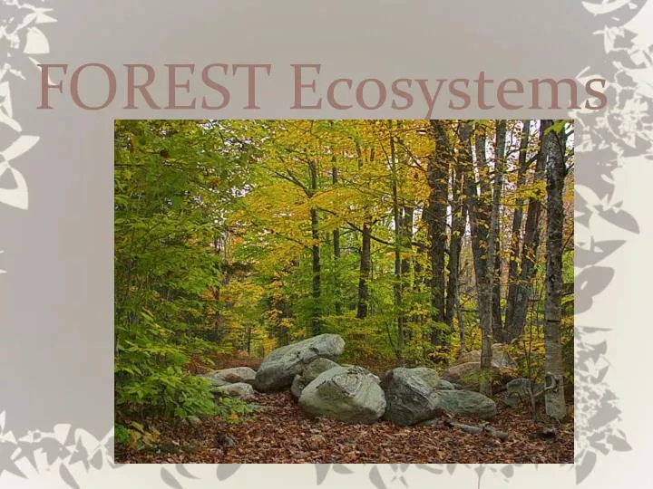 forest ecosystems