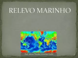 RELEVO MARINHO