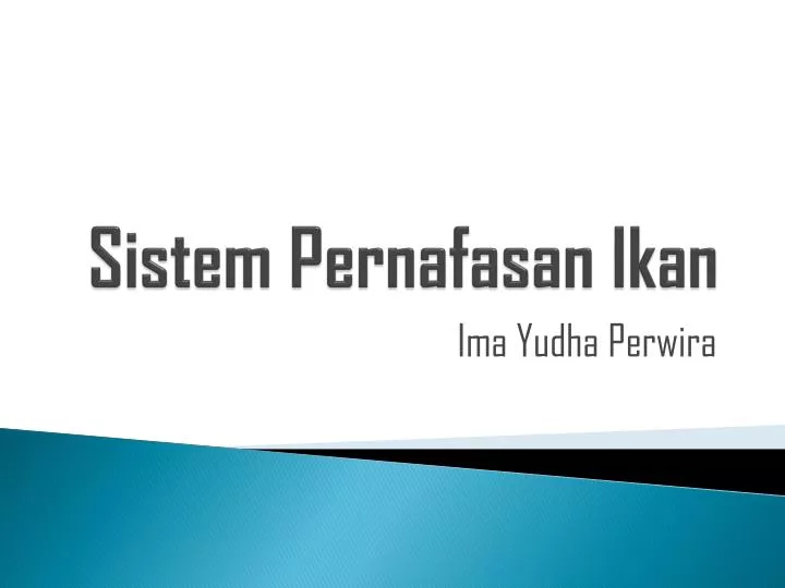 sistem pernafasan ikan