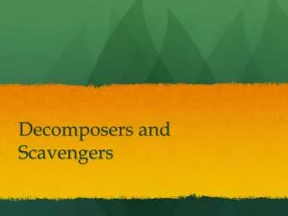 Decomposers and Scavengers