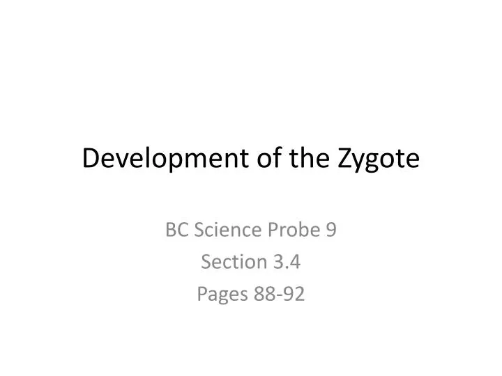 development of the zygote