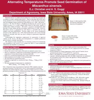 Alternating Temperatures Promote Seed Germination of Miscanthus sinensis .