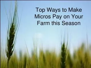 Top Ways to Make Micros Pay on Your Farm this Season