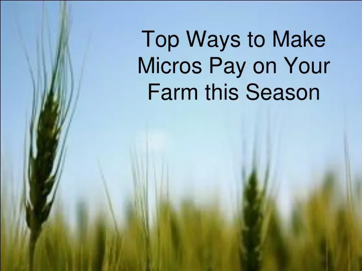 top ways to make micros pay on your farm this season