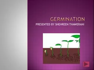 GERMINATION