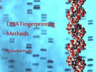 DNA Fingerprinting Methods By: Rachiel Foulks