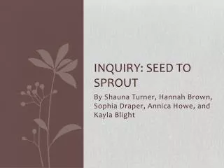 Inquiry: Seed to sprout