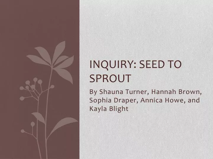 inquiry seed to sprout