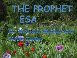 The prophet 	Esa