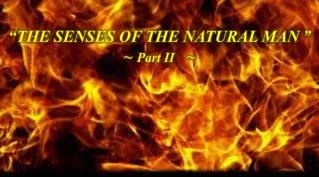 “THE SENSES OF THE NATURAL MAN ” ~ Part II ~