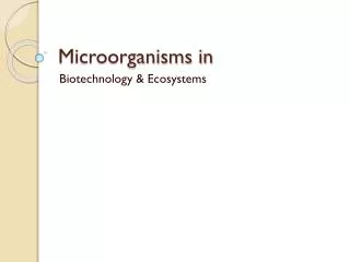 Microorganisms in