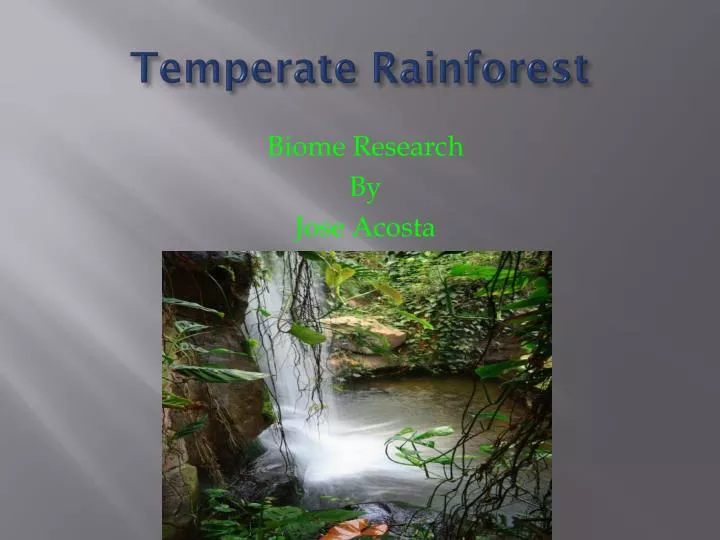 temperate rainforest