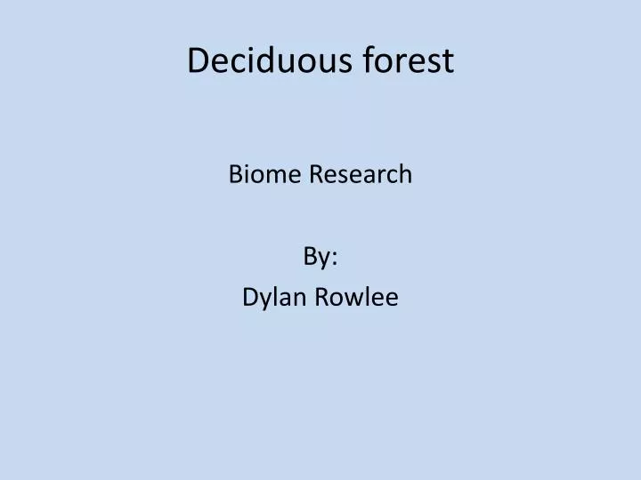 deciduous forest