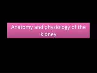 Anatomy and physiology of the kidney