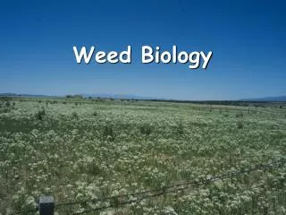 Weed Biology