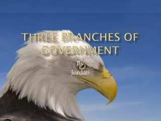 Three Branches of Government