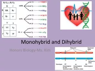 Monohybrid and Dihybrid