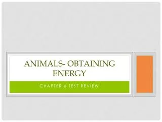Animals- Obtaining Energy