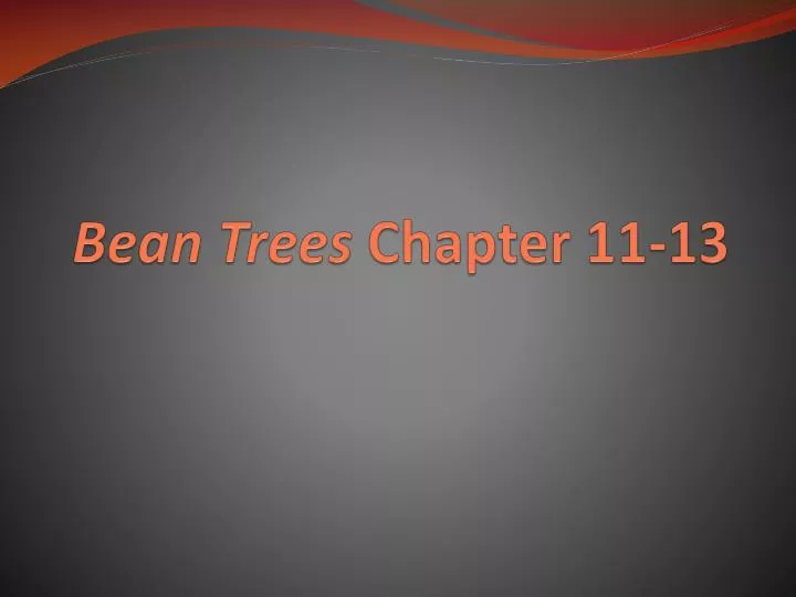 bean trees chapter 11 13