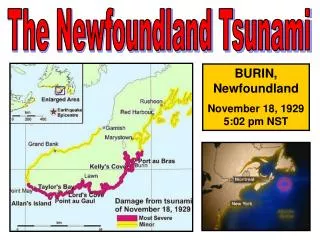 The Newfoundland Tsunami