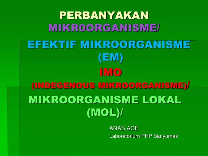 mikroorganisme lokal mol
