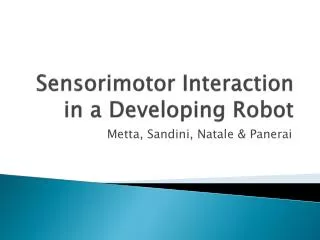 Sensorimotor Interaction in a Developing Robot