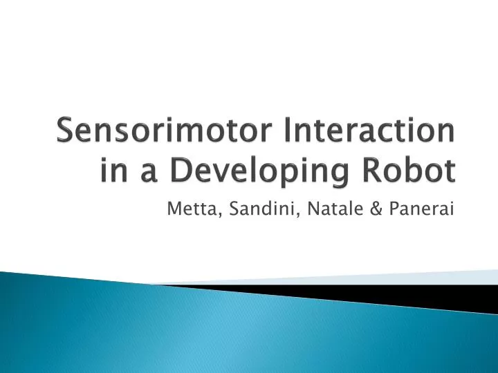 sensorimotor interaction in a developing robot