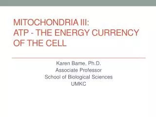 Mitochondria III: ATP - the energy Currency of the Cell