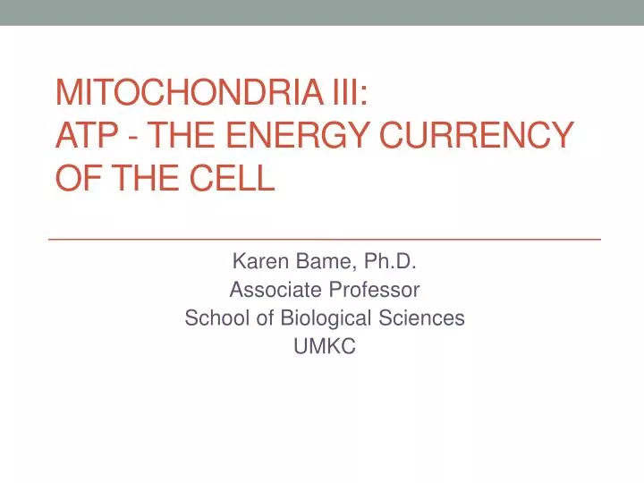 mitochondria iii atp the energy currency of the cell