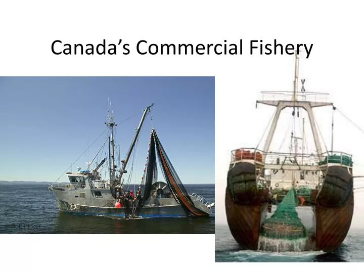 canada s commercial fishery