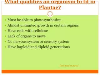 What qualifies an organism to fit in Plantae?