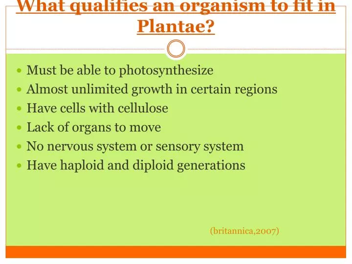 what qualifies an organism to fit in plantae