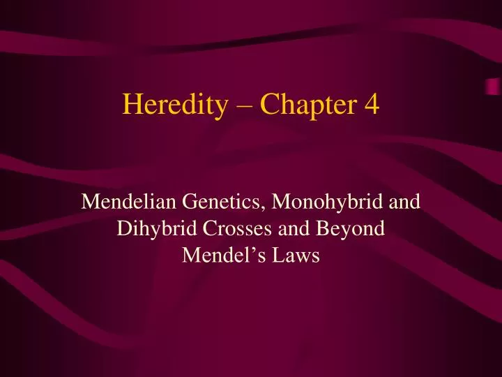 heredity chapter 4